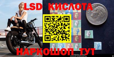 таблы Новокубанск