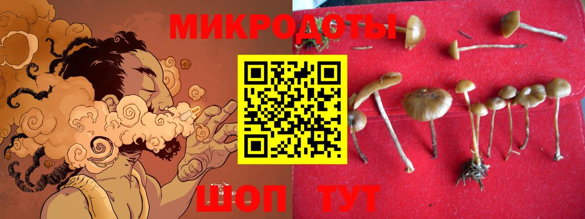 Псилоцибиновые грибы Magic Shrooms Южноуральск